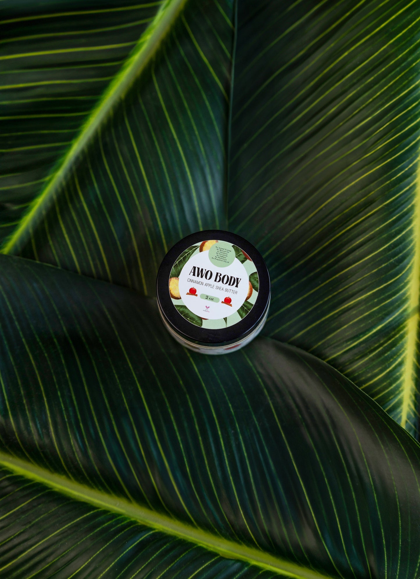 Cinnamon Apple Ambrosia Shea Butter