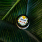Simply Citrus Shea Butter