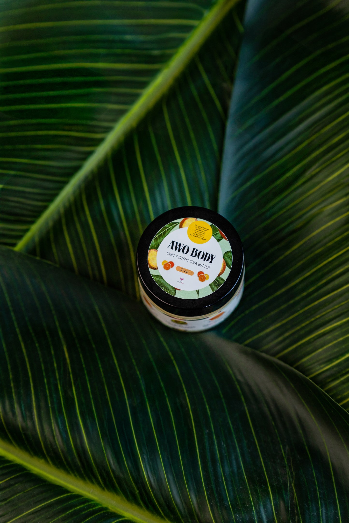 Simply Citrus Shea Butter